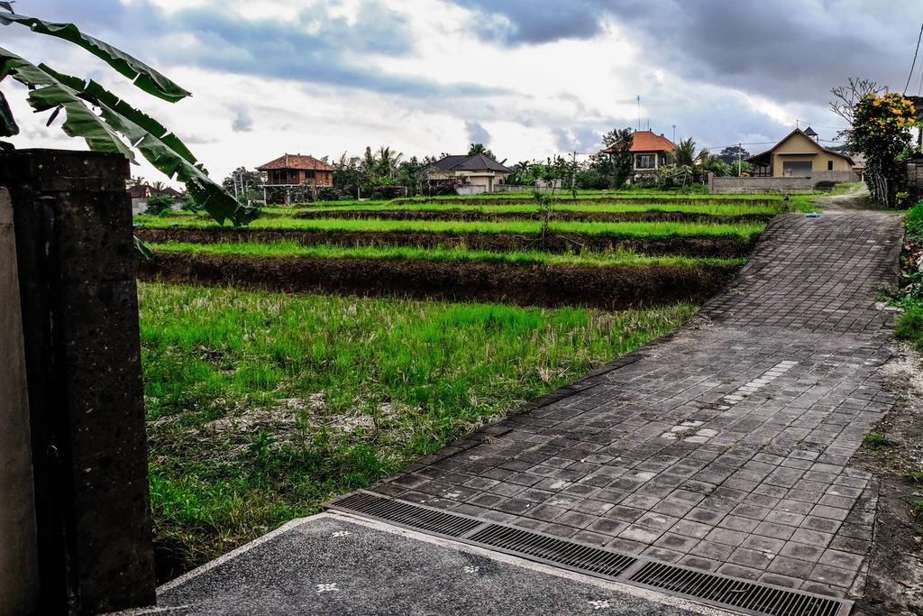 Harum Sari Ubud Private Villa Zewnętrze zdjęcie